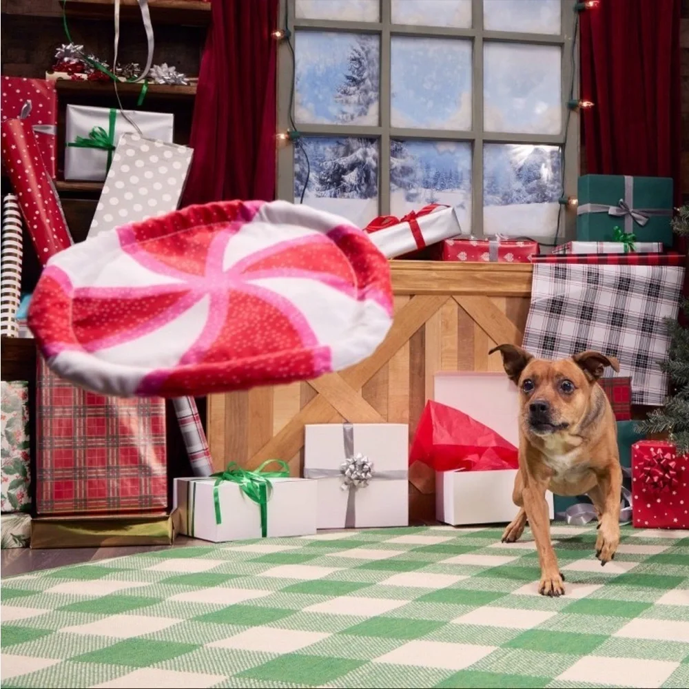 BARK Holiday Santas Workchomp Peppermint Fetch Dog Plush Toy, All dog sizes- Nwt
